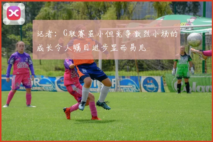 记者：G联赛虽小但竞争激烈小杨的成长令人瞩目进步显而易见