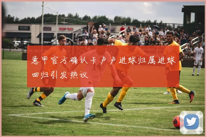 意甲官方确认卡卢卢进球归属进球回归引发热议