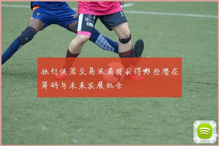 独行侠若交易浓眉将获得哪些潜在筹码与未来发展机会