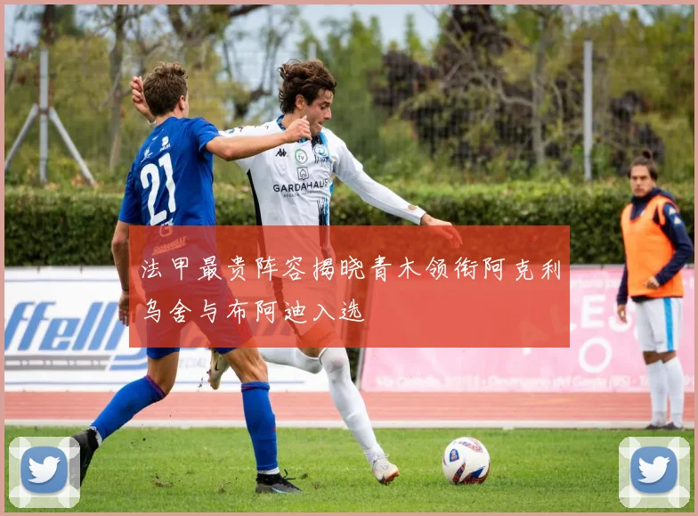 法甲最贵阵容揭晓青木领衔阿克利乌舍与布阿迪入选