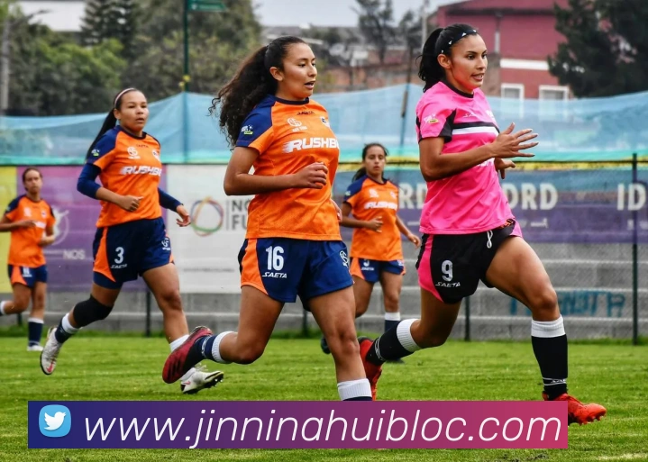 今年会官网平台生态图